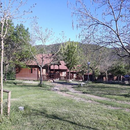 Camping - Bungalows La Soleia D'Oix Dış mekan fotoğraf